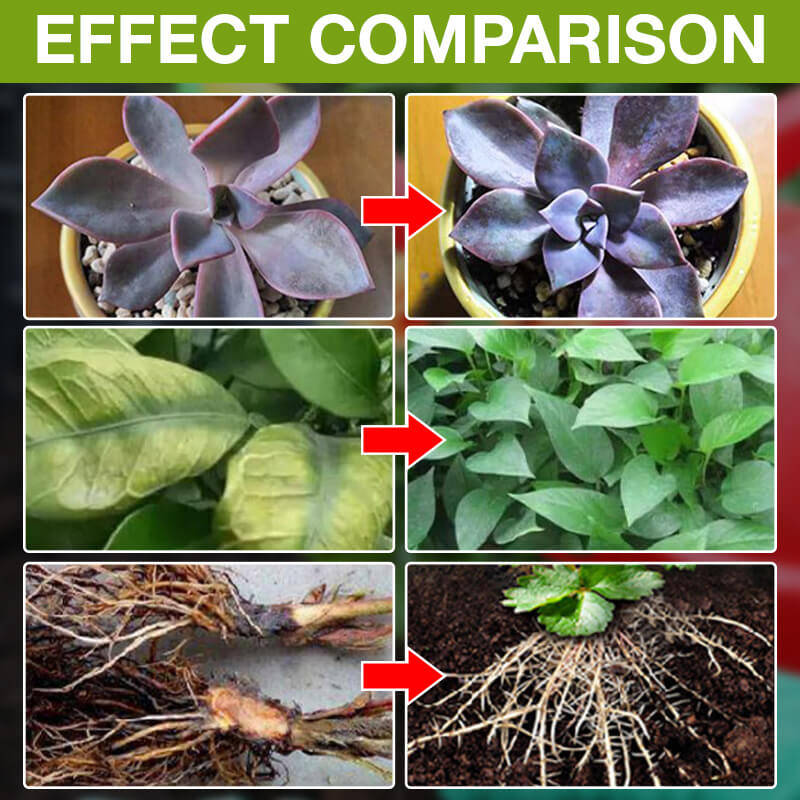 Plant Growth Enhancer Supplement(40% OFF)