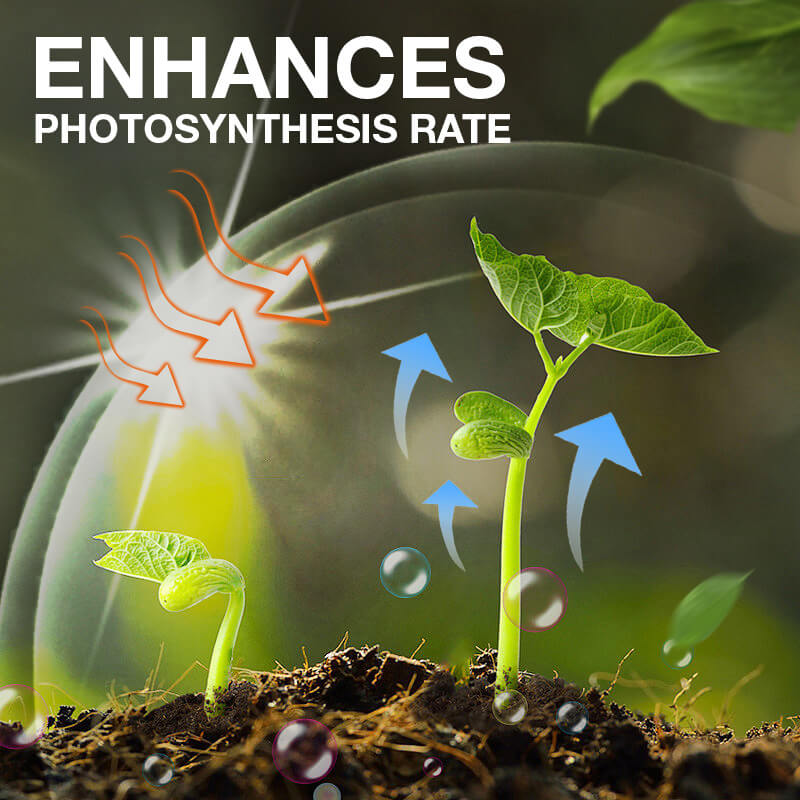 Plant Growth Enhancer Supplement(40% OFF)
