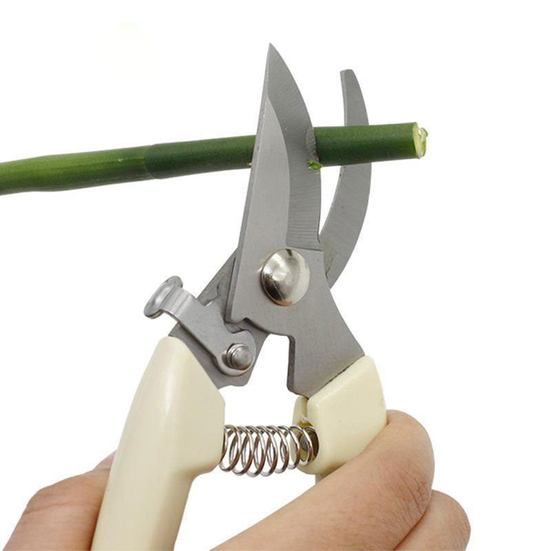 Pruning Shears