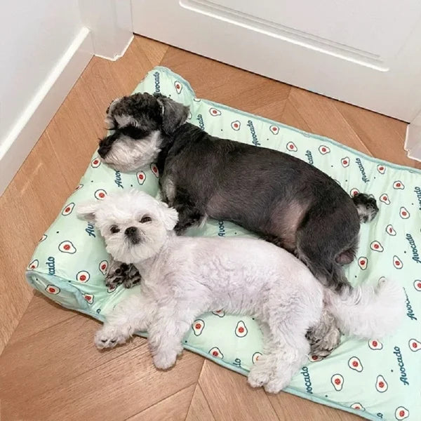 ✨The Summer Hot Sale--💦🐱Cats/Dogs Cooling Bed🐶