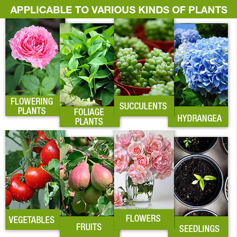 Plant Growth Enhancer Supplement(40% OFF)