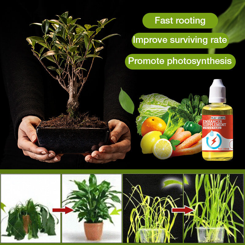 Plant Growth Enhancer Supplement(40% OFF)