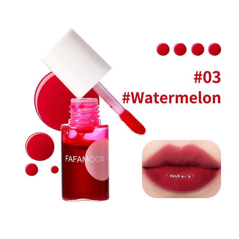 4 Colors Moisturizing Long-Lasting Lip Gloss