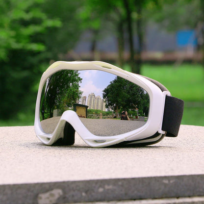 Perfect Winter Gift! Large Vision Anti-fog Ski Goggles