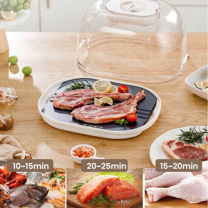 [Practical Gift] Home Frozen Meat Ingredients Thawing Machine