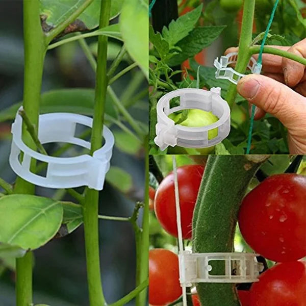 Secured Plastic Plant Clip