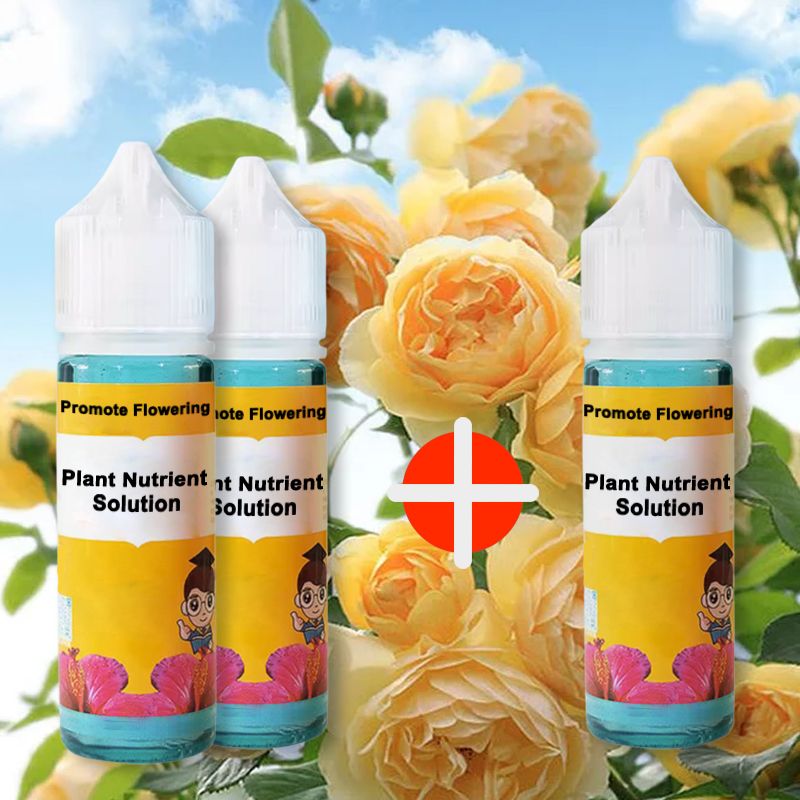 Rapid Flower-promoting Nutrient Solution