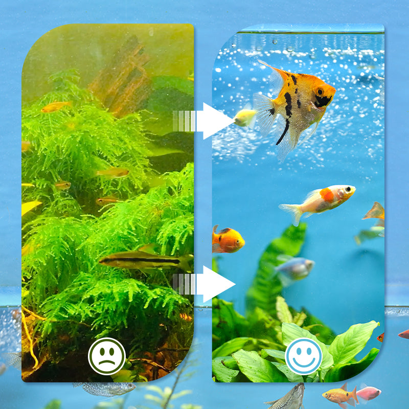 Professional Aquarium Filtering Pad