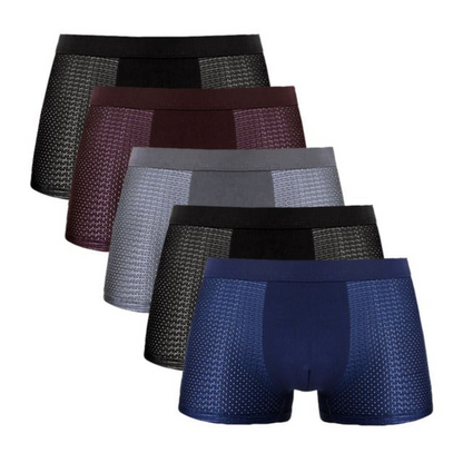 Breathable Antibacterial Boxer Mesh Silk Briefs