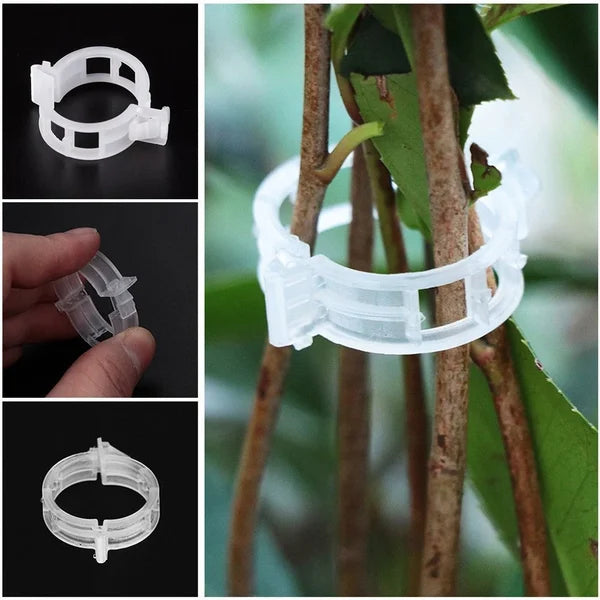 Secured Plastic Plant Clip