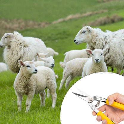 Multifunctional Stainless Steel Wire Scissors