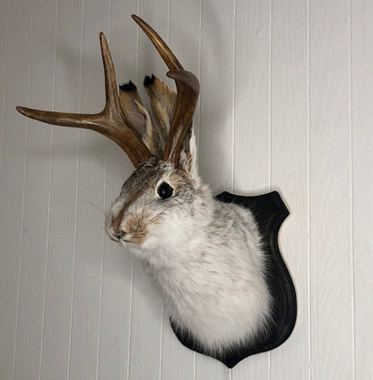 Cute Jackalope Decorative Arts