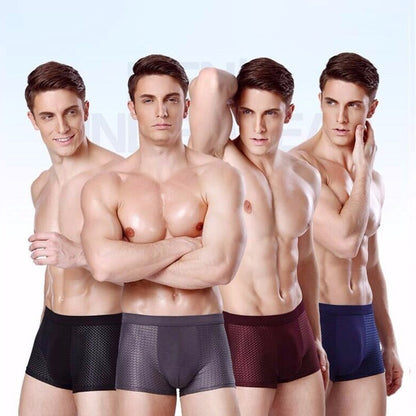 Breathable Antibacterial Boxer Mesh Silk Briefs