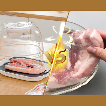 [Practical Gift] Home Frozen Meat Ingredients Thawing Machine