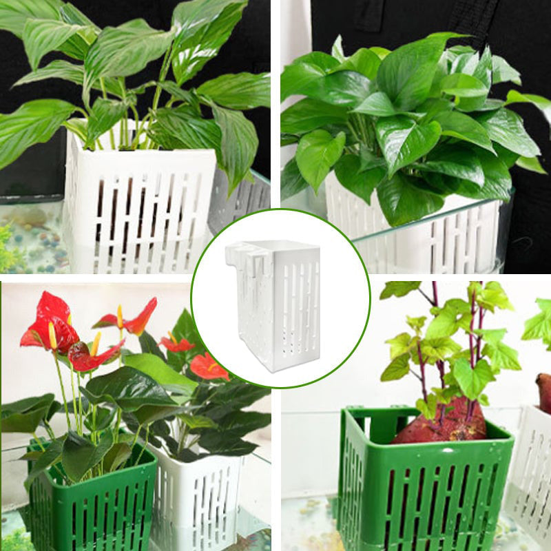 Fish Tank Hydroponic Planting Basket