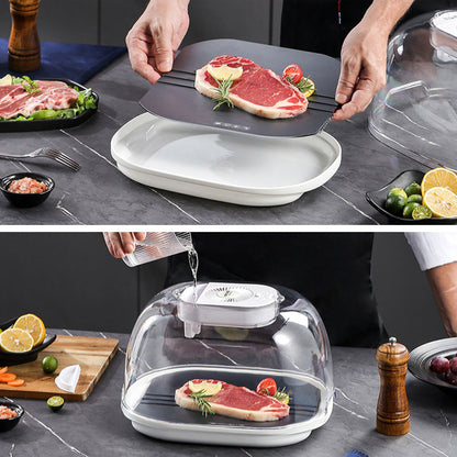 [Practical Gift] Home Frozen Meat Ingredients Thawing Machine