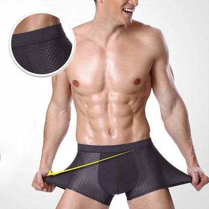 Breathable Antibacterial Boxer Mesh Silk Briefs