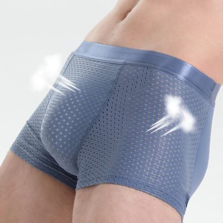 Breathable Antibacterial Boxer Mesh Silk Briefs