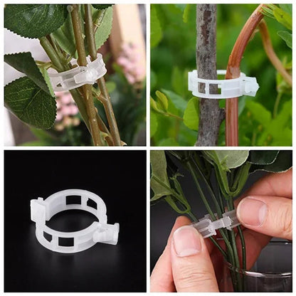 Secured Plastic Plant Clip