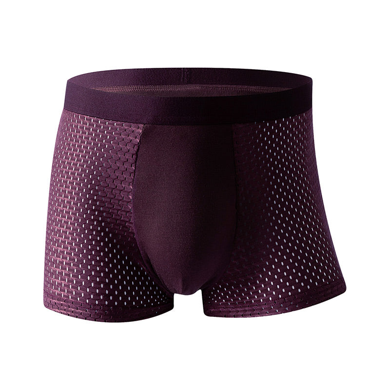 Breathable Antibacterial Boxer Mesh Silk Briefs