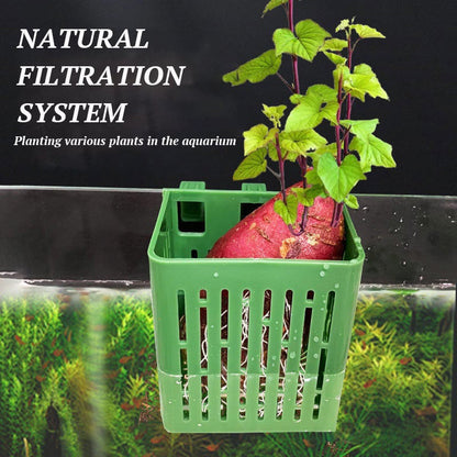 Fish Tank Hydroponic Planting Basket