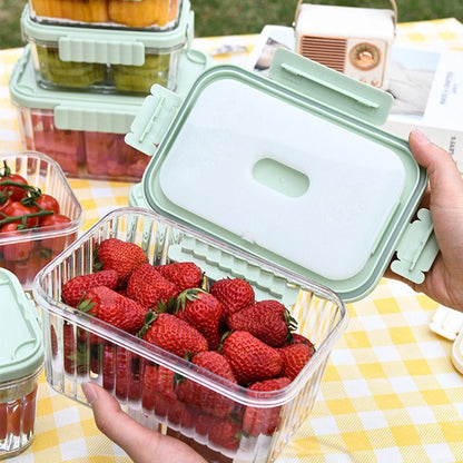 Reusable Fresh-keeping Food Container Ice Box