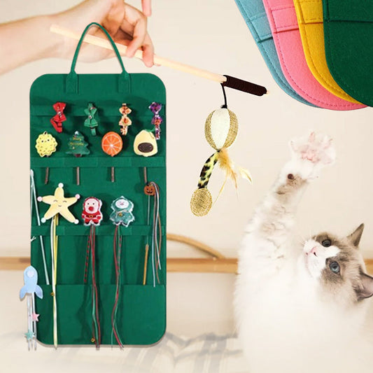 Cat Teaser Organizer Bag