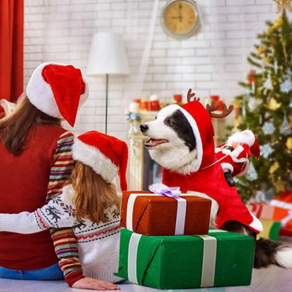 Santa Riding Dog Costume for Christmas