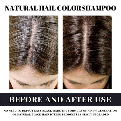 Plant-Based Gray Coverage Hair Dye Shampoo