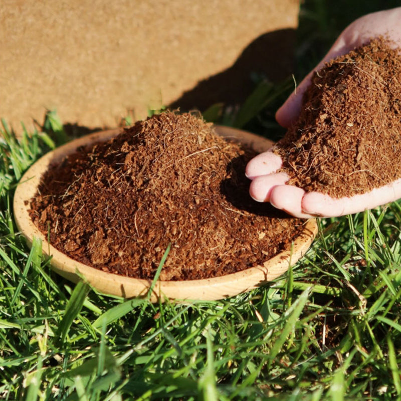 Organic Coconut Coir for Plants