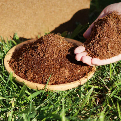 Organic Coconut Coir for Plants