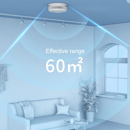 Smart Standalone Smoke Detector