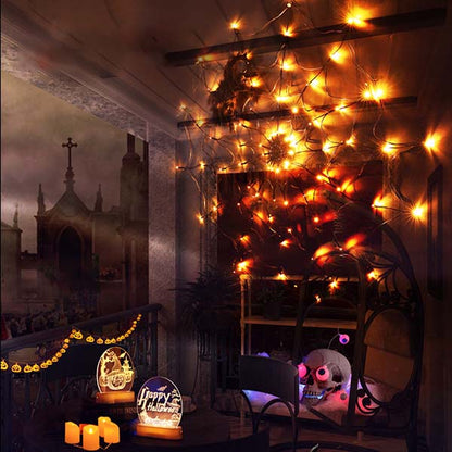 Halloween LED Giant Spider Web Light