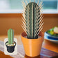 3D Simulation Cactus Bonsai Toothpick Holder