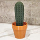 3D Simulation Cactus Bonsai Toothpick Holder