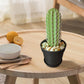 3D Simulation Cactus Bonsai Toothpick Holder