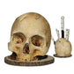 (🎃Early Halloween Promotion🎃 49% Off)Gothic Skull Knife Holder