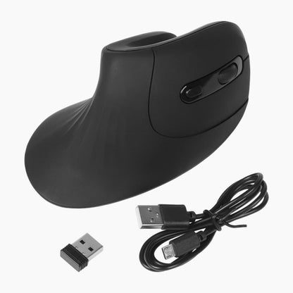 Ergonomic Low Noise Mouse