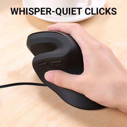 Ergonomic Low Noise Mouse