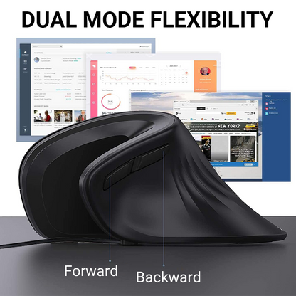 Ergonomic Low Noise Mouse