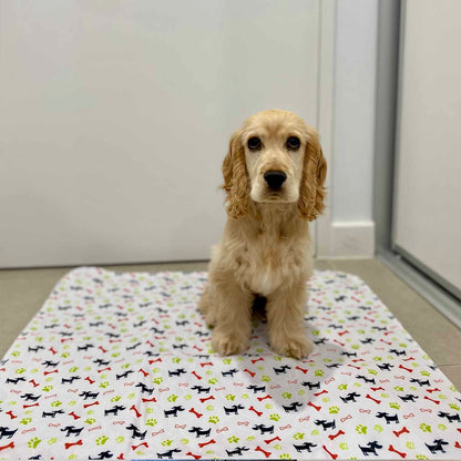 🐶😸Premium Reusable Super Absorbent PuppyPad🐾 (Kitten & Other Pets)