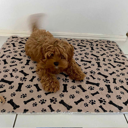 🐶😸Premium Reusable Super Absorbent PuppyPad🐾 (Kitten & Other Pets)