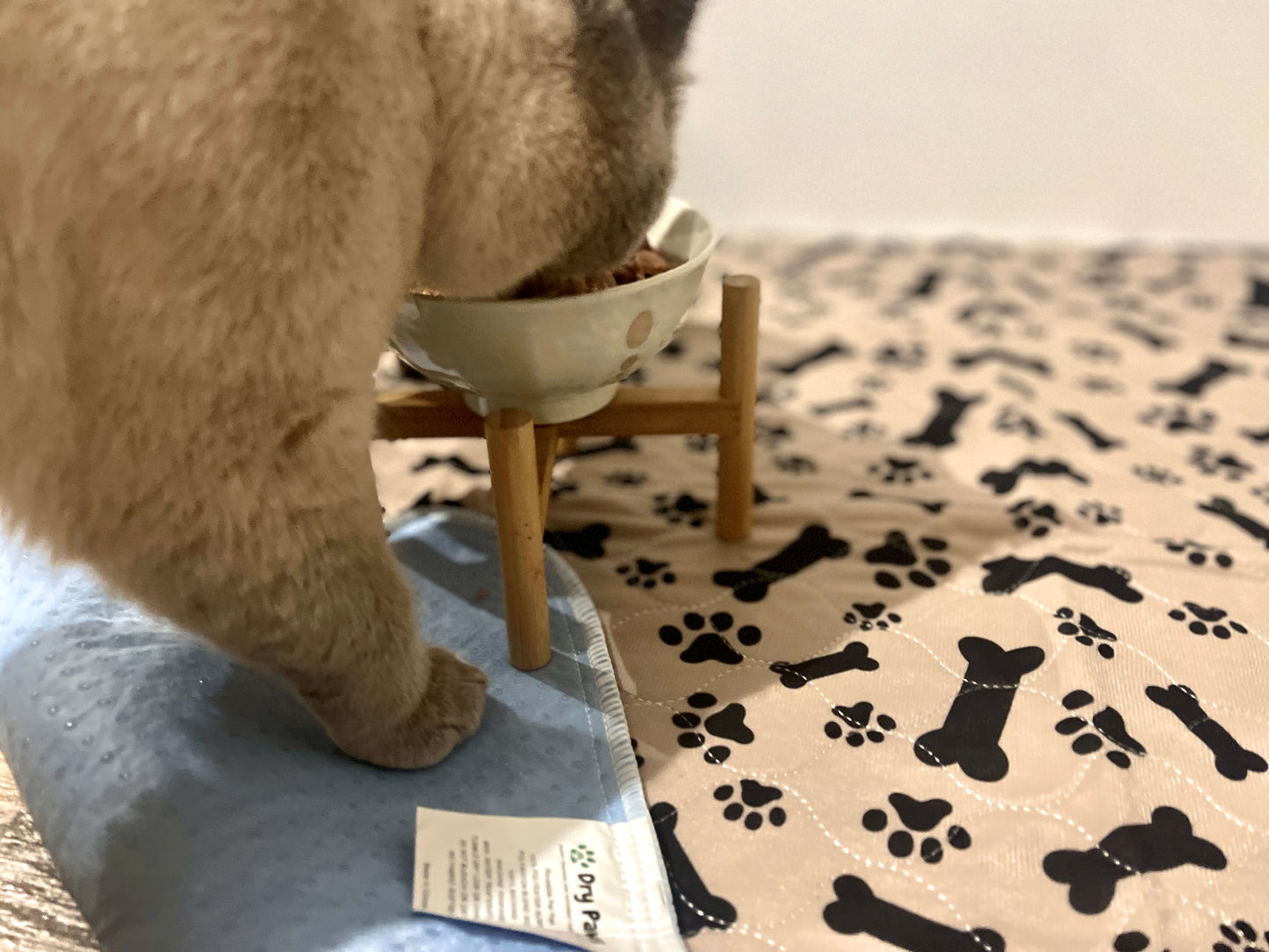 🐶😸Premium Reusable Super Absorbent PuppyPad🐾 (Kitten & Other Pets)