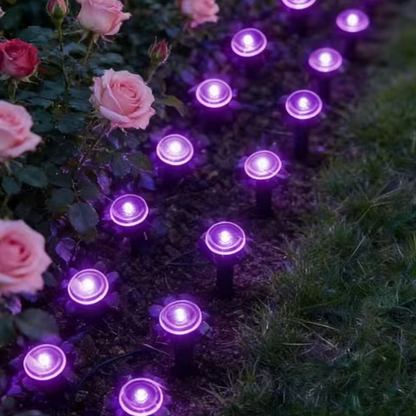 💡☀️ Solar Powered Garden Pathway Lights – Auto On/Off, Weatherproof & Perfect for Walkways & Yard Decoration 🏡