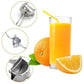 Stainless Steel Juicer🔥Summer Hot Sale