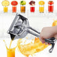 Stainless Steel Juicer🔥Summer Hot Sale