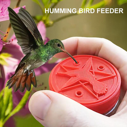 Hummingbird Mini Feeder Bird Watching