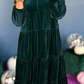 New Vintage Long Sleeve Velvet Dress