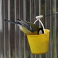 🎡🐦Fun Ferris Wheel Bird Feeder - Create a bird playground in your garden