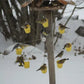 🎡🐦Fun Ferris Wheel Bird Feeder - Create a bird playground in your garden